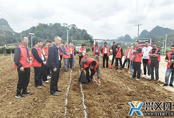 兴义市义龙新区开展高素质农民培育专业生产型大豆玉米带状复合种植技术培训(图1)