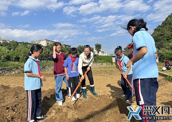 兴义市丰都中心小学开展秋种劳动实践活动(图1)