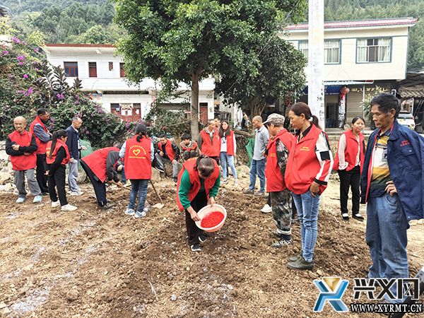 兴义市开展2023年高素质农民培育玉米种植技术培训(图1)