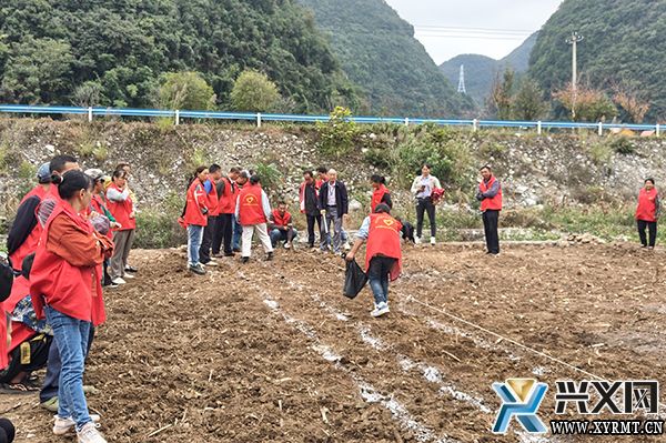 兴义市开展2023年高素质农民培育玉米种植技术培训(图2)