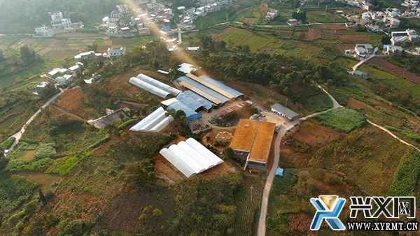 【念好“养牛经” 做强“牛经济”】纳玉村:做强牛产业 “犇”出致富路(图4) 【念好“养牛经” 做强“牛经济”】纳玉村:做强牛产业 “犇”出致富路(图4)