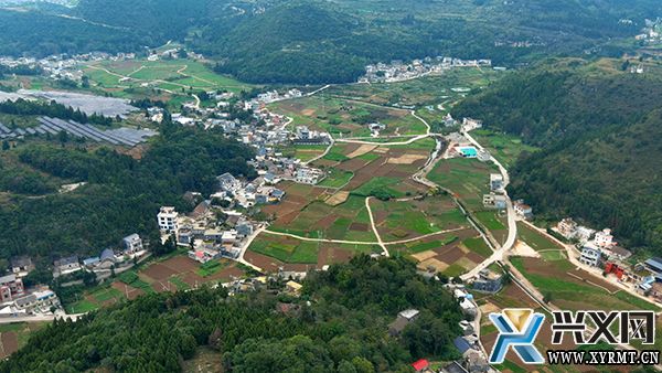 【念好“养牛经” 做强“牛经济”】纳玉村:做强牛产业 “犇”出致富路(图5) 【念好“养牛经” 做强“牛经济”】纳玉村:做强牛产业 “犇”出致富路(图5)