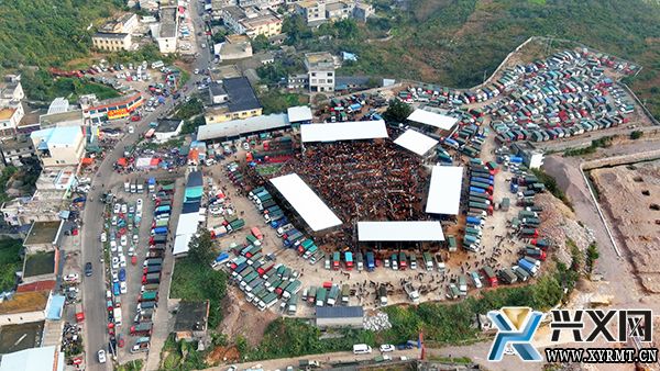 【念好“养牛经” 做强“牛经济”】万屯镇:写好“牛文章” 做强“牛经济” 全力打造“肉牛小镇”(图2) 【念好“养牛经” 做强“牛经济”】万屯镇:写好“牛文章” 做强“牛经济” 全力打造“肉牛小镇”(图2)