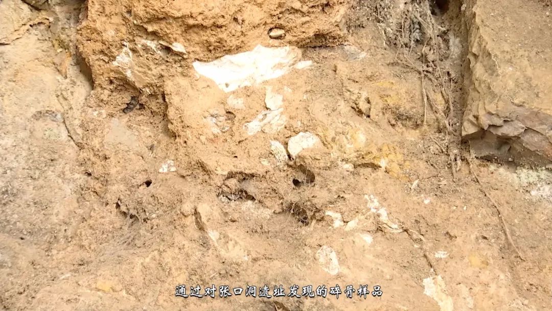 《人文兴义》洞穴里的“兴义人”(图13) 《人文兴义》洞穴里的“兴义人”(图13)
