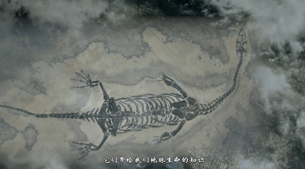《人文兴义》探访兴义三叠纪(图5)