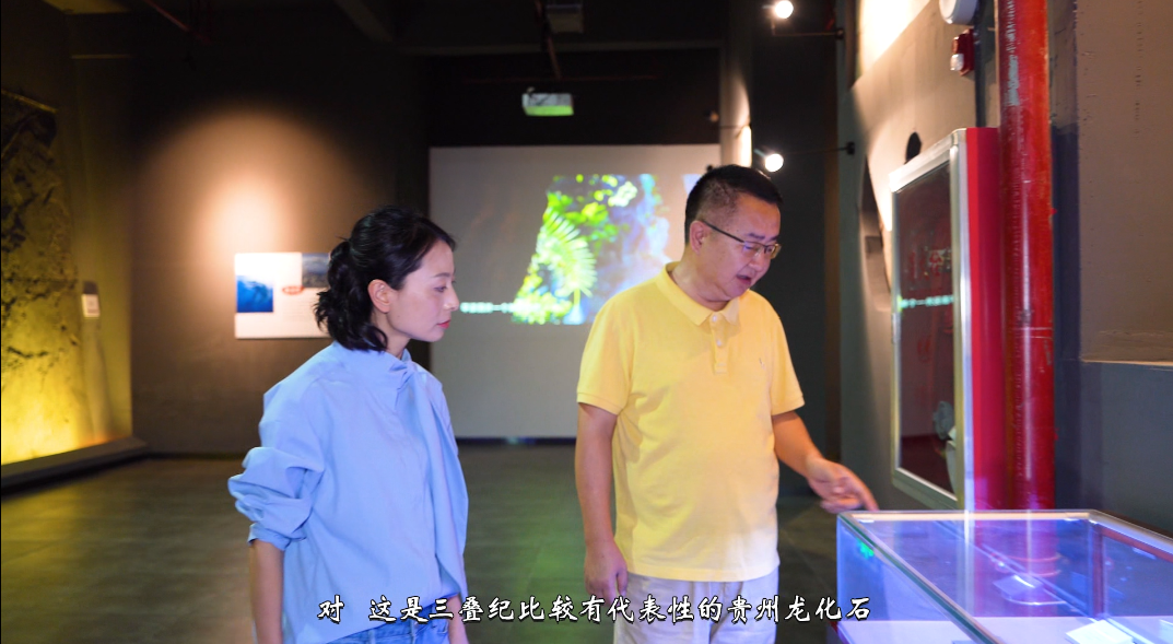 《人文兴义》探访兴义三叠纪(图4)