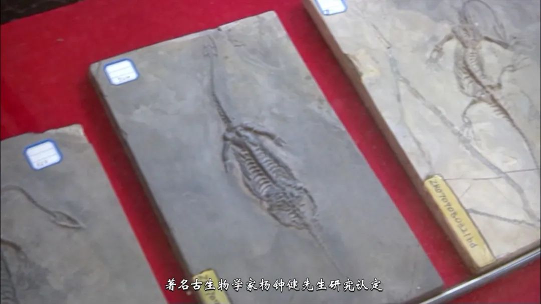 《人文兴义》贵州龙出山(图1) 《人文兴义》贵州龙出山(图1)