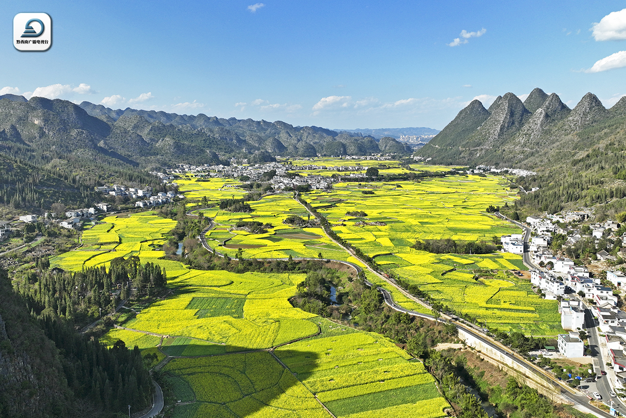 直播预告丨2月4日9:00 第二届万峰林油菜花节系列活动 邀您共赴立春之约!_兴义网