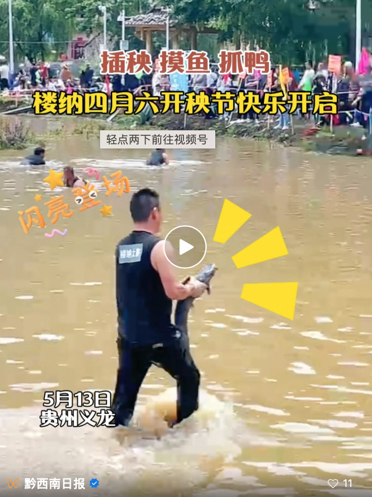 赛技艺、品美食、观表演……义龙新区楼纳村“四月六·开秧节”精彩纷呈~(图1)