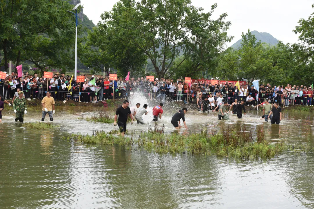 赛技艺、品美食、观表演……义龙新区楼纳村“四月六·开秧节”精彩纷呈~(图2)