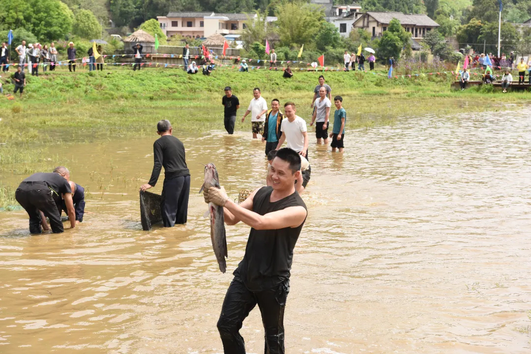 赛技艺、品美食、观表演……义龙新区楼纳村“四月六·开秧节”精彩纷呈~(图4)
