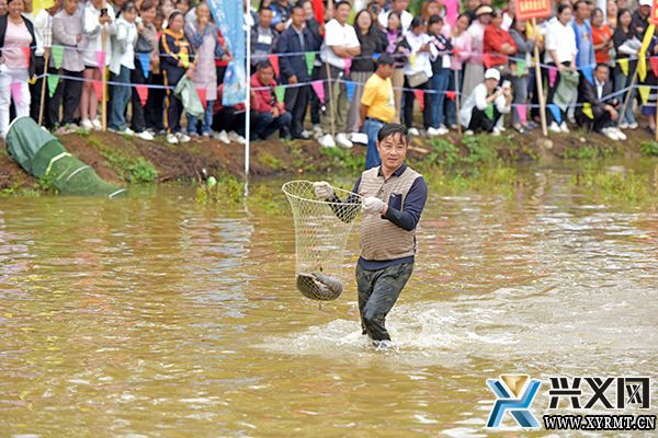 楼纳村:“开秧节”活动精彩呈现 游客沉浸式体验农耕文化(图1) 楼纳村:“开秧节”活动精彩呈现 游客沉浸式体验农耕文化(图1)