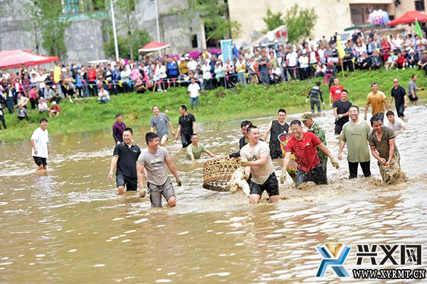 楼纳村:“开秧节”活动精彩呈现 游客沉浸式体验农耕文化(图3) 楼纳村:“开秧节”活动精彩呈现 游客沉浸式体验农耕文化(图3)