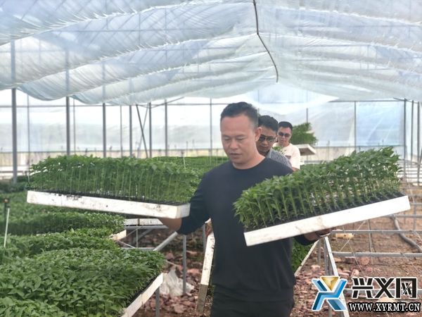 义龙新区：建设现代农业产业园 助力乡村产业高质量发展(图3)