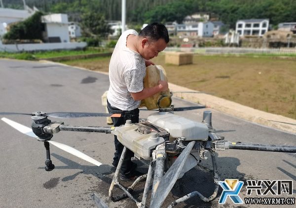 兴义义龙：开展两万余亩水稻统防统治 筑牢粮食稳产增收根基(图1)