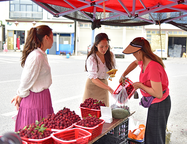 万屯镇：万亩杨梅抢“鲜”上市(图2)