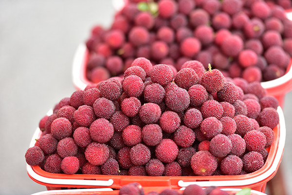 万屯镇：万亩杨梅抢“鲜”上市(图5)