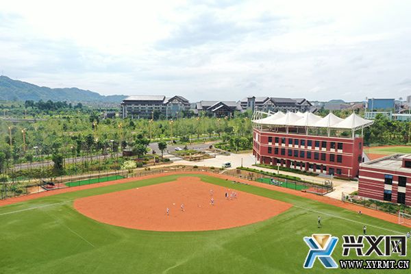 练“技能”强“战力” 义龙新区棒垒球体育公园夏训正酣(图3)