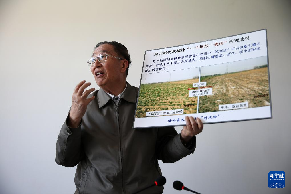 国家勋章和国家荣誉称号获得者丨李振声：矢志攻关 筑牢大国粮仓(图3)