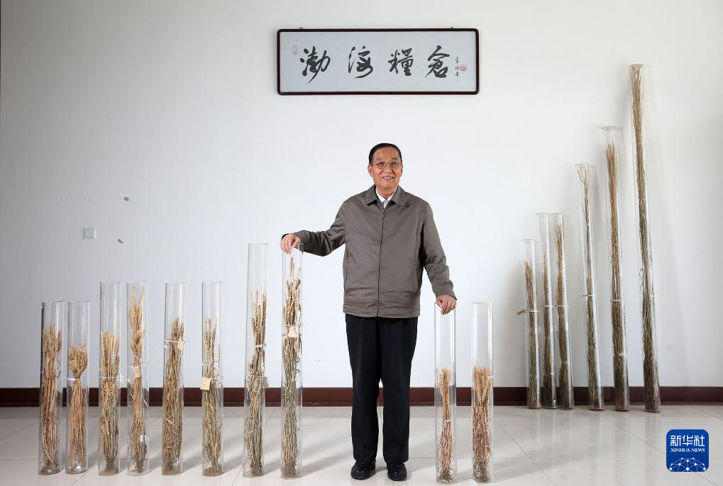 国家勋章和国家荣誉称号获得者丨李振声：矢志攻关 筑牢大国粮仓(图2)