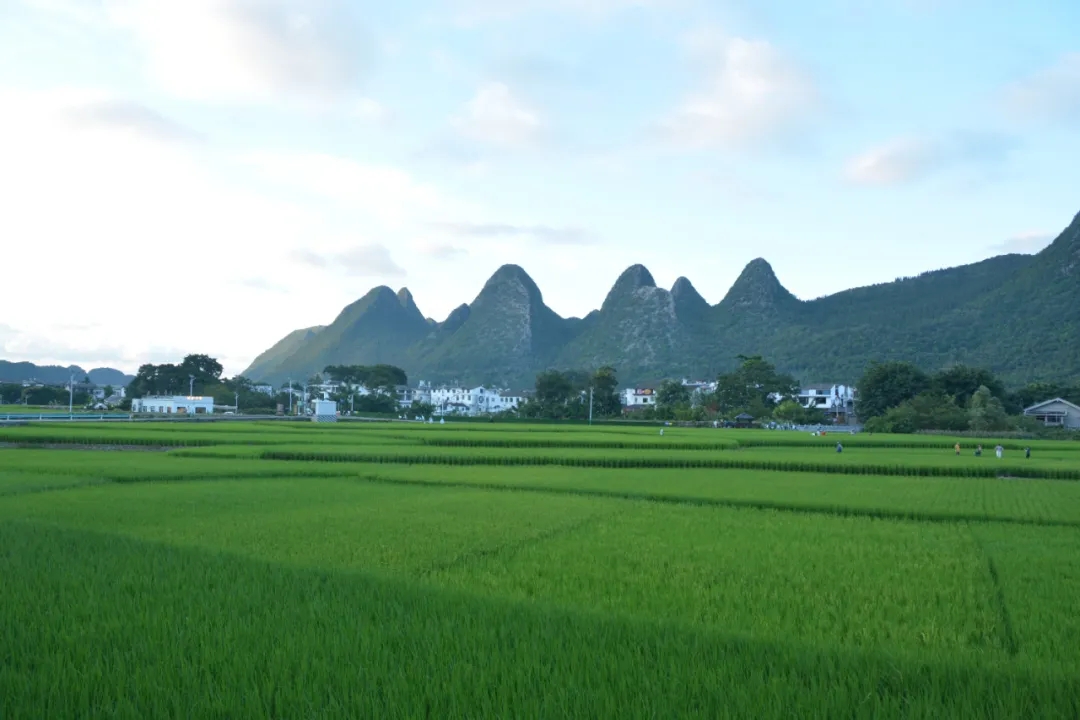 一条河流与一个村庄的世纪之变 || 写在2024山旅会召开之际(图8)