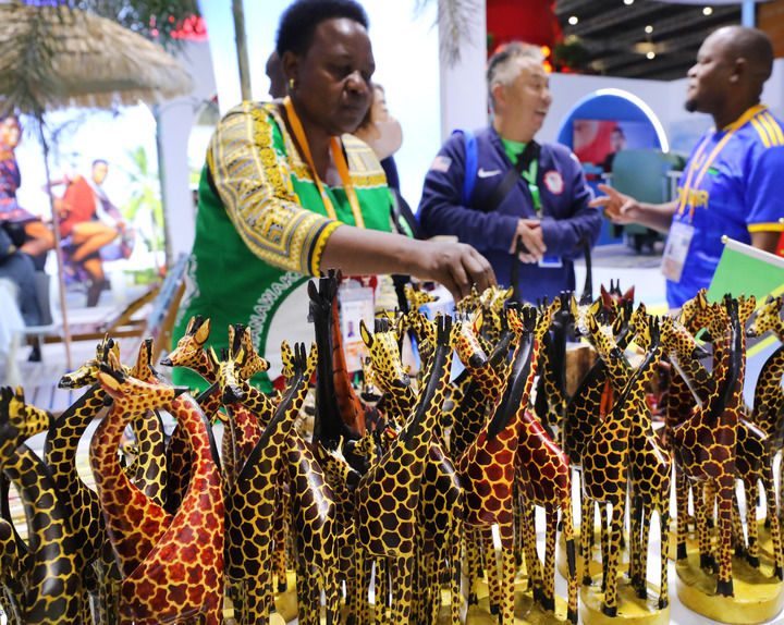 与时偕行天地宽——第七届中国国际进口博览会观察(图11)