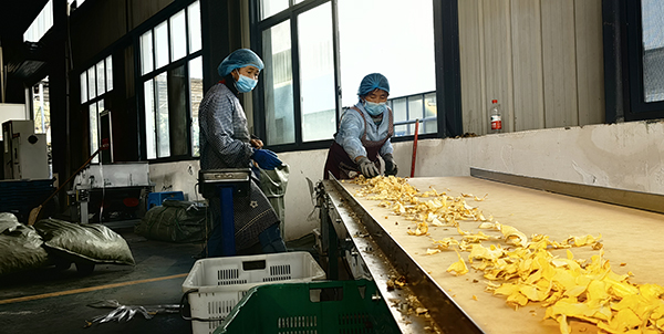 兴义海福农业：开足马力生产 冲刺全年目标(图2)