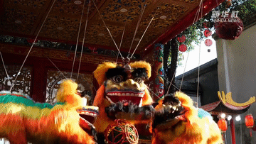 文化中国行·镜头里的非遗年｜线狮少年舞新春(图1)