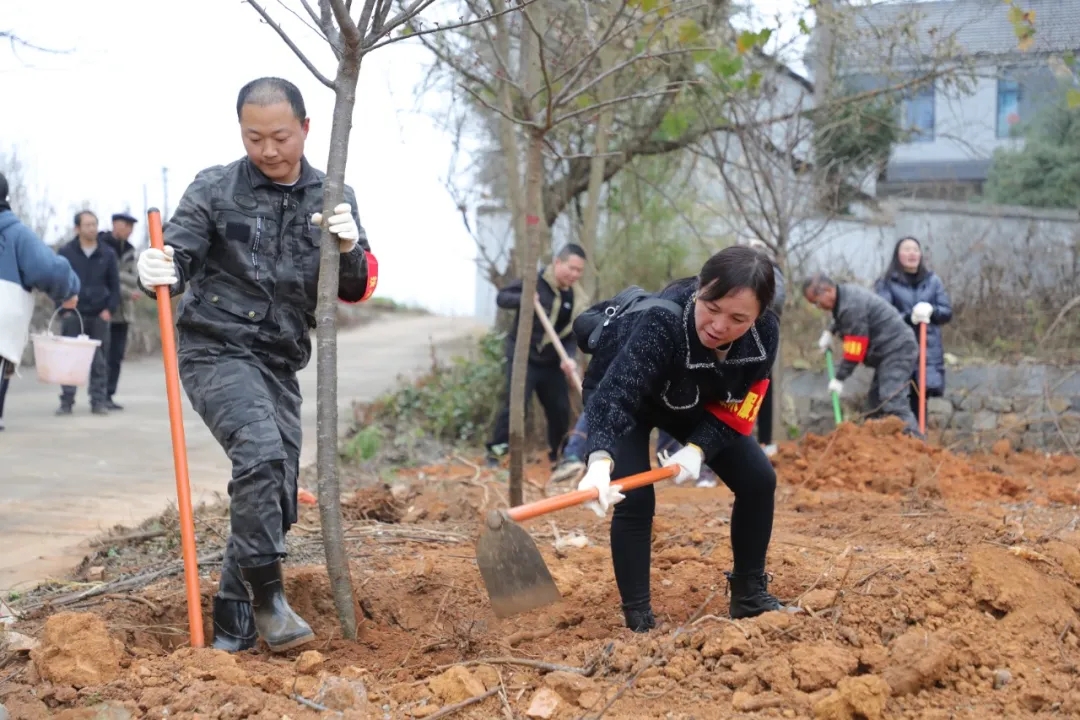 人勤春来早 植绿正当时——黔西南州举行2025年义务植树活动(图2)