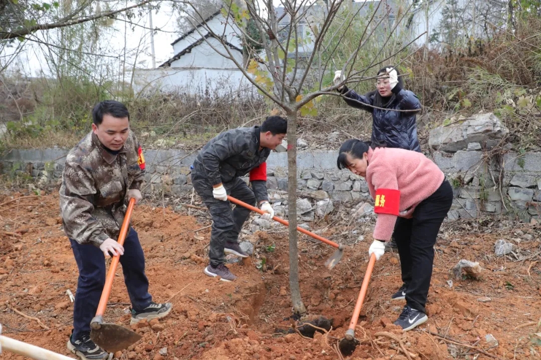 人勤春来早 植绿正当时——黔西南州举行2025年义务植树活动(图3)