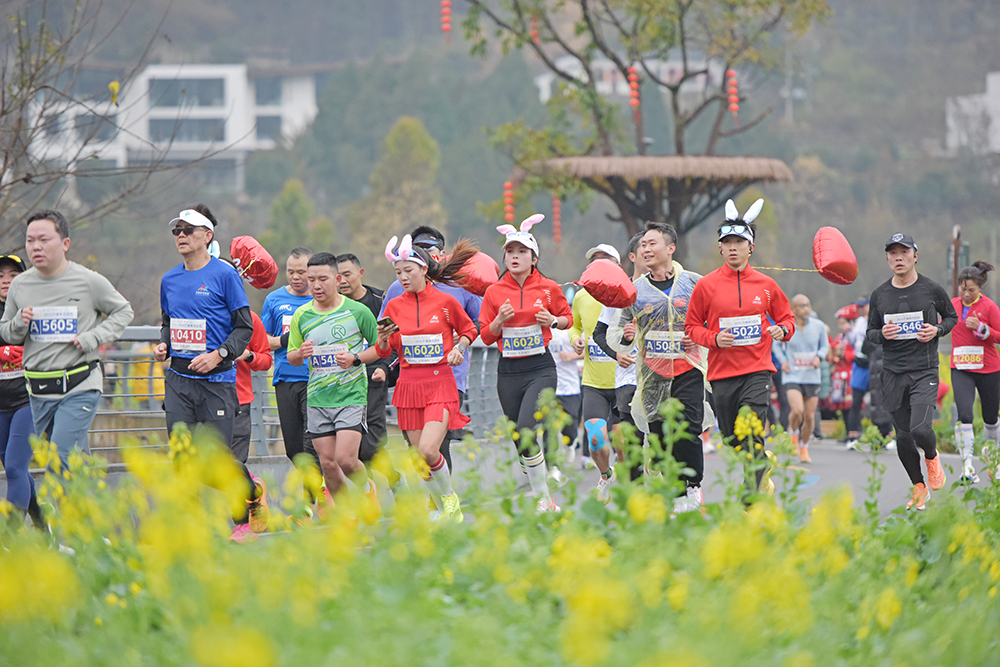 贵州电信·2025万峰林马拉松暨多彩贵州马拉松超级联赛（万峰林站）鸣枪开跑(图3)