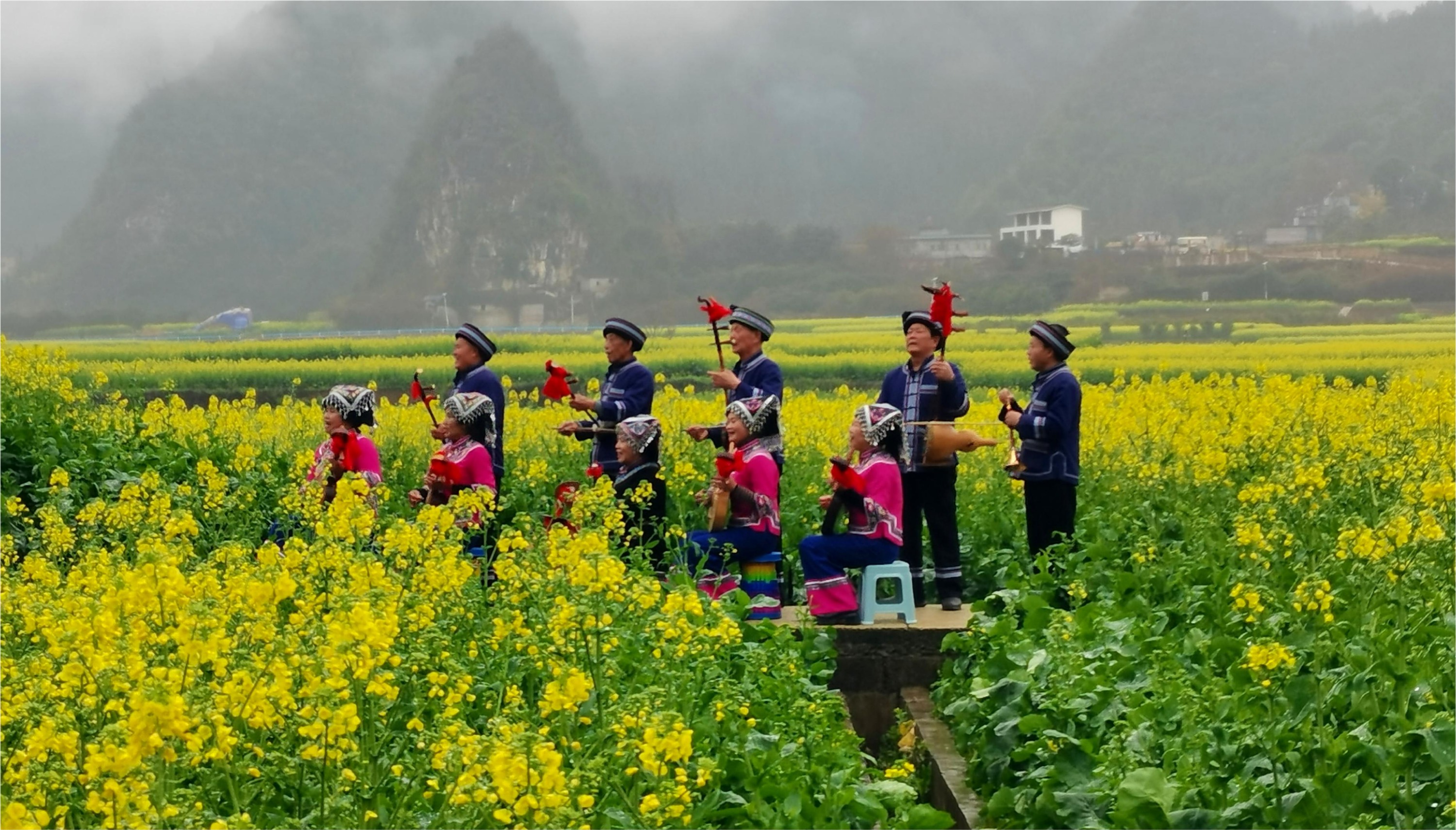 今天，央视将直播万峰林春日美景(图2)