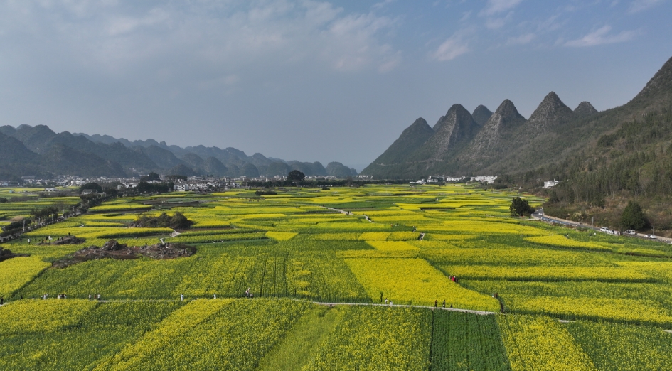 今天，央视将直播万峰林春日美景(图6)