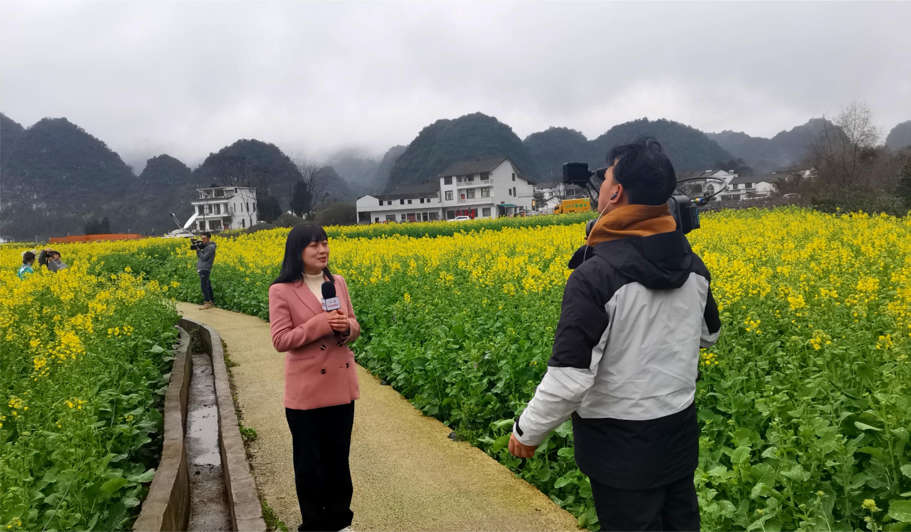 今天，央视将直播万峰林春日美景(图1)