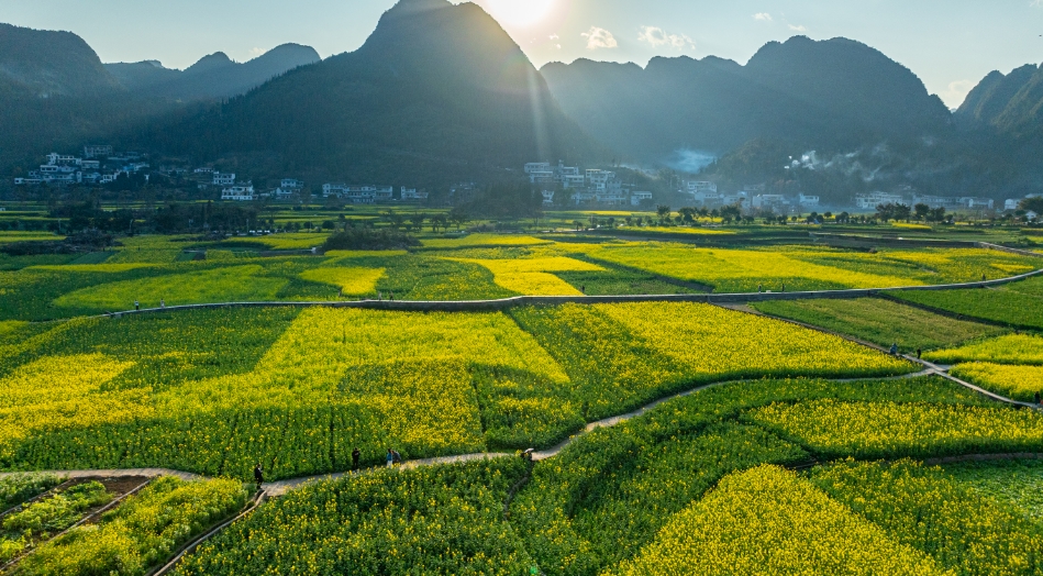 今天，央视将直播万峰林春日美景(图5)