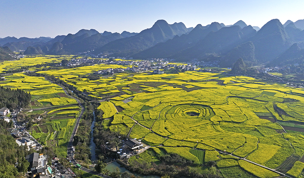 兴义：油菜花开引客来 春风吹暖“花经济”(图3)