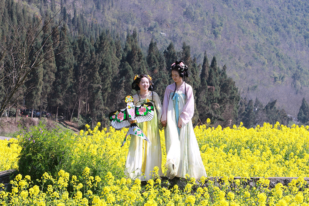 兴义：油菜花开引客来 春风吹暖“花经济”(图5)