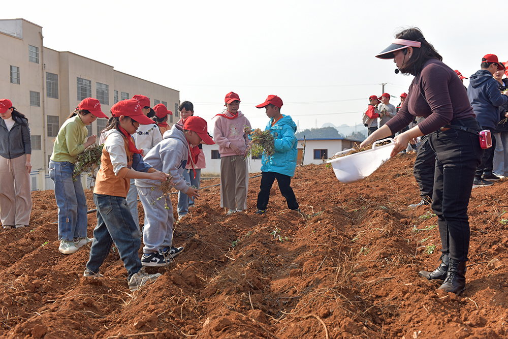 红星小学：“中医药+”沉浸式教育 培养学生文化自信(图2)