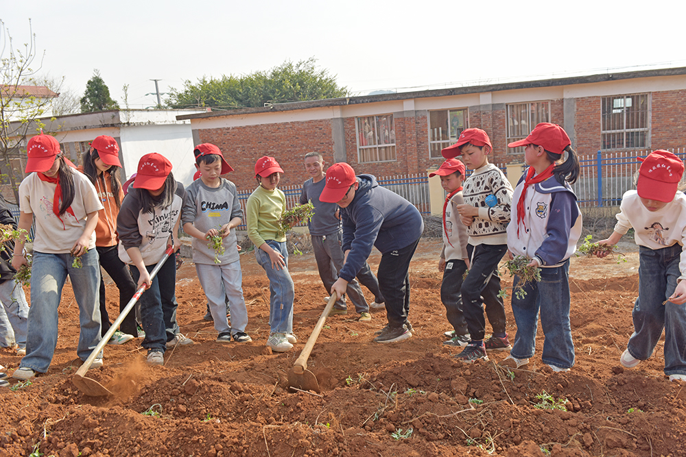 红星小学：“中医药+”沉浸式教育 培养学生文化自信(图4)