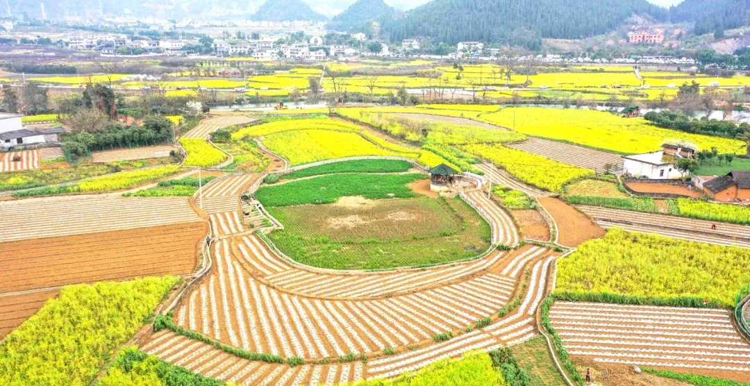 黔西南：大地万象“耕”新 春耕备耕农事起(图1)