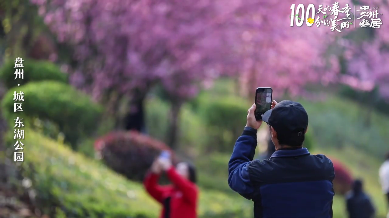 100天的春季 100分的美丽丨贵州盘州：美丽花海成为旅游热点(图6)