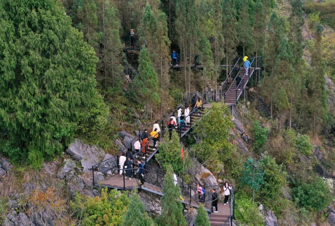 万峰林早春欢乐游：油菜花海漫峰林 千人蛋炒饭徒步迎新春(图2)