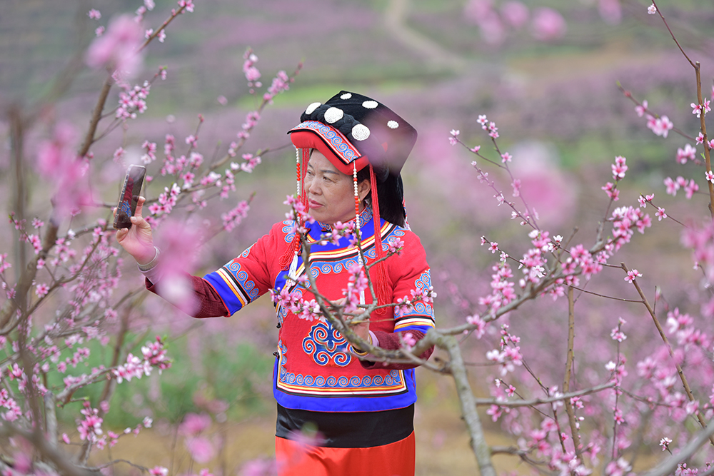 兴义市绿化村：万亩桃花竞相绽放 春日“花海”引客来(图3)