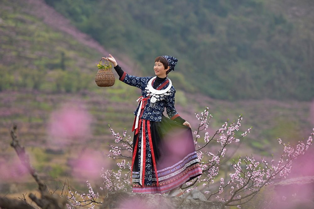 兴义市绿化村：万亩桃花竞相绽放 春日“花海”引客来(图4)