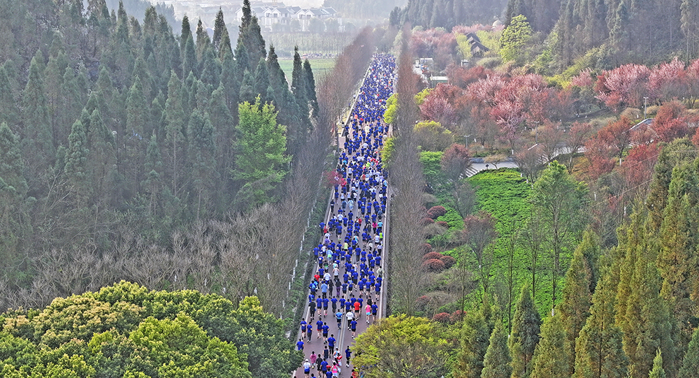 全国跑者点赞“警马”：赛道风景如画 赛事服务给力(图1)