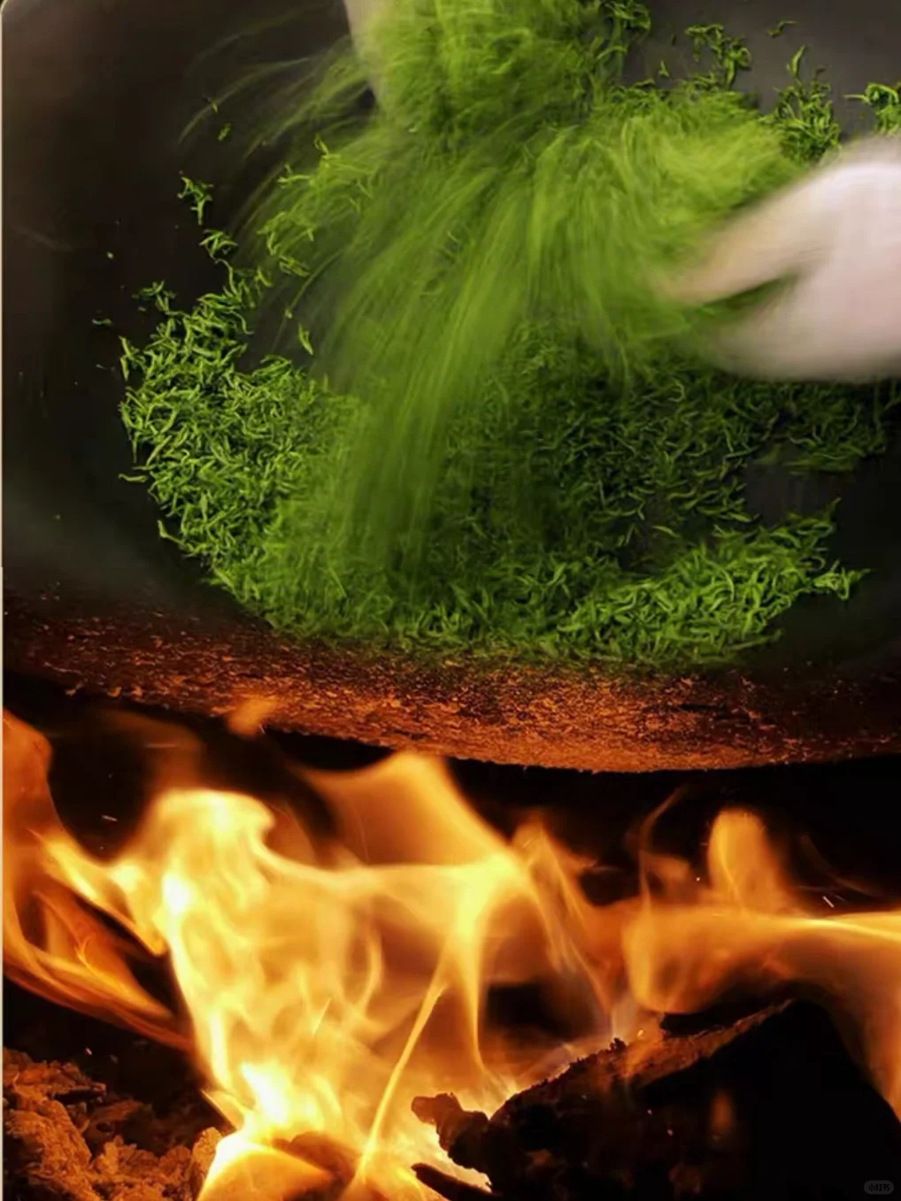 100天的春季，贵州茶带来100分的美丽！(图22)