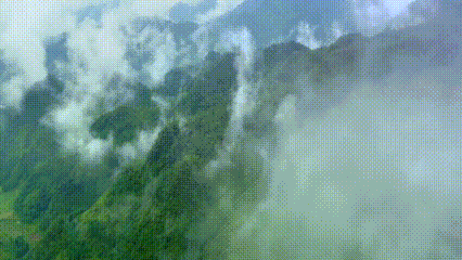 100天的春季，贵州茶带来100分的美丽！(图17)