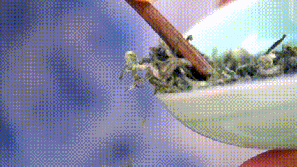 100天的春季，贵州茶带来100分的美丽！(图18)