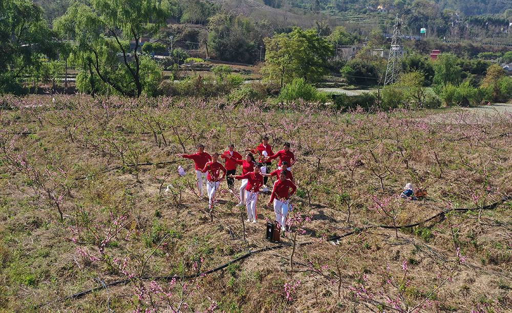 乌沙镇大兴寨村：黄桃花开绘春景 农旅融合促振兴(图1)