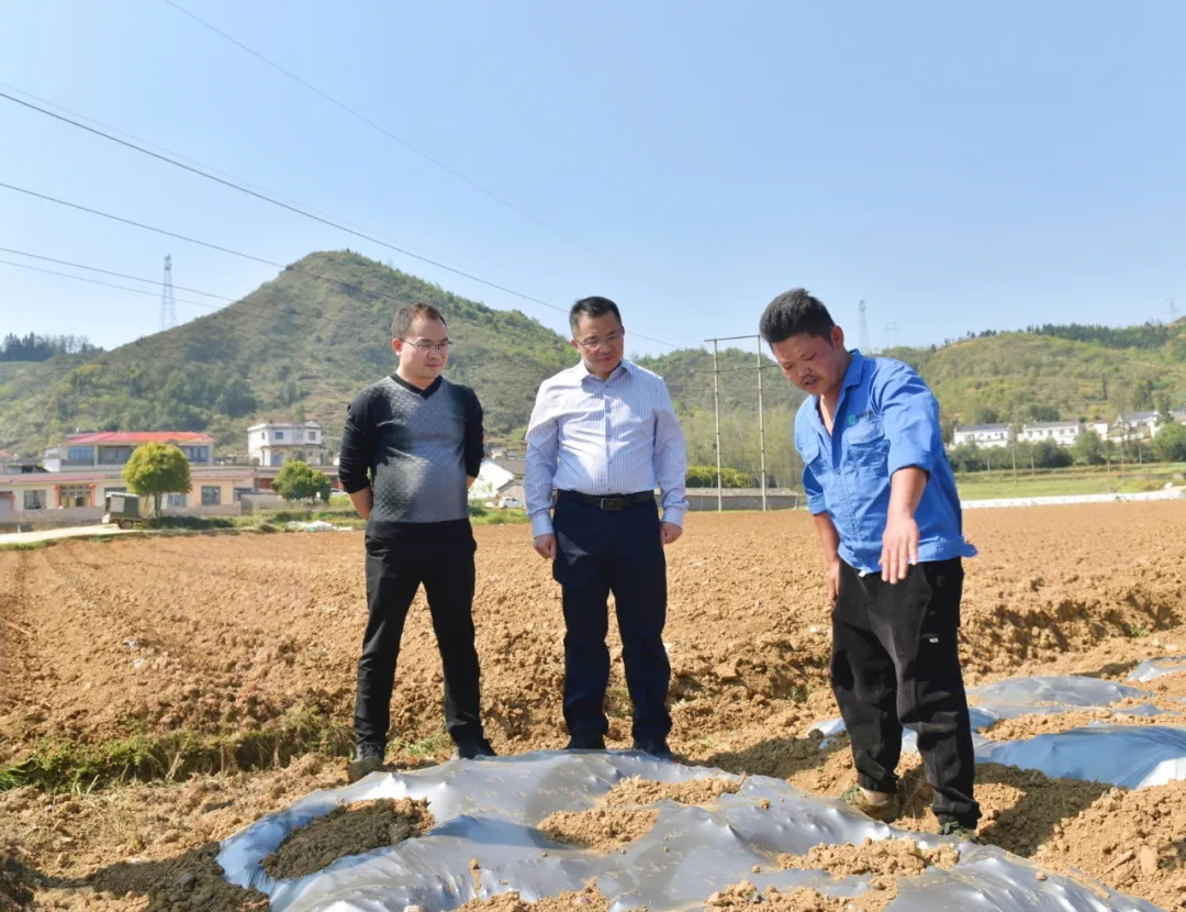 顾先林到乌沙镇、白碗窑镇宣讲习近平总书记在贵州考察时的重要讲话精神(图3)